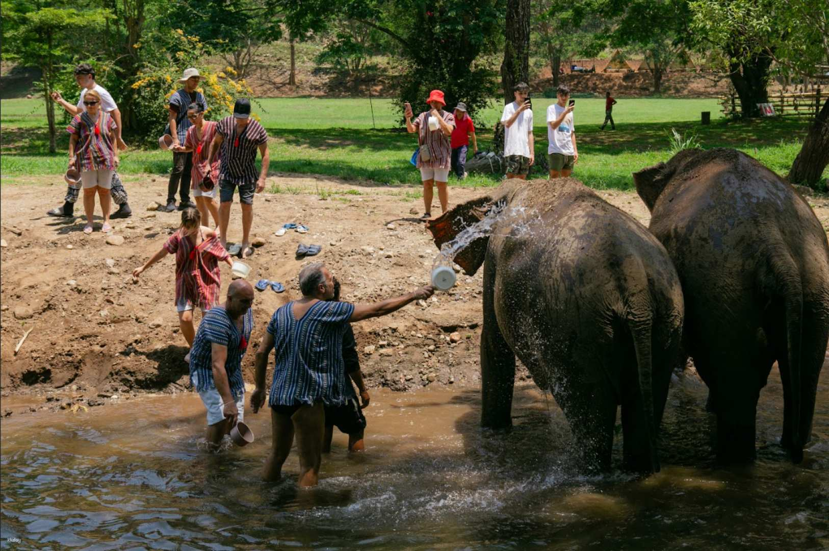 Chiang Mai Lanna Elephant Sanctuary Half-Day Tour | Thailand - Photo 1 of 9