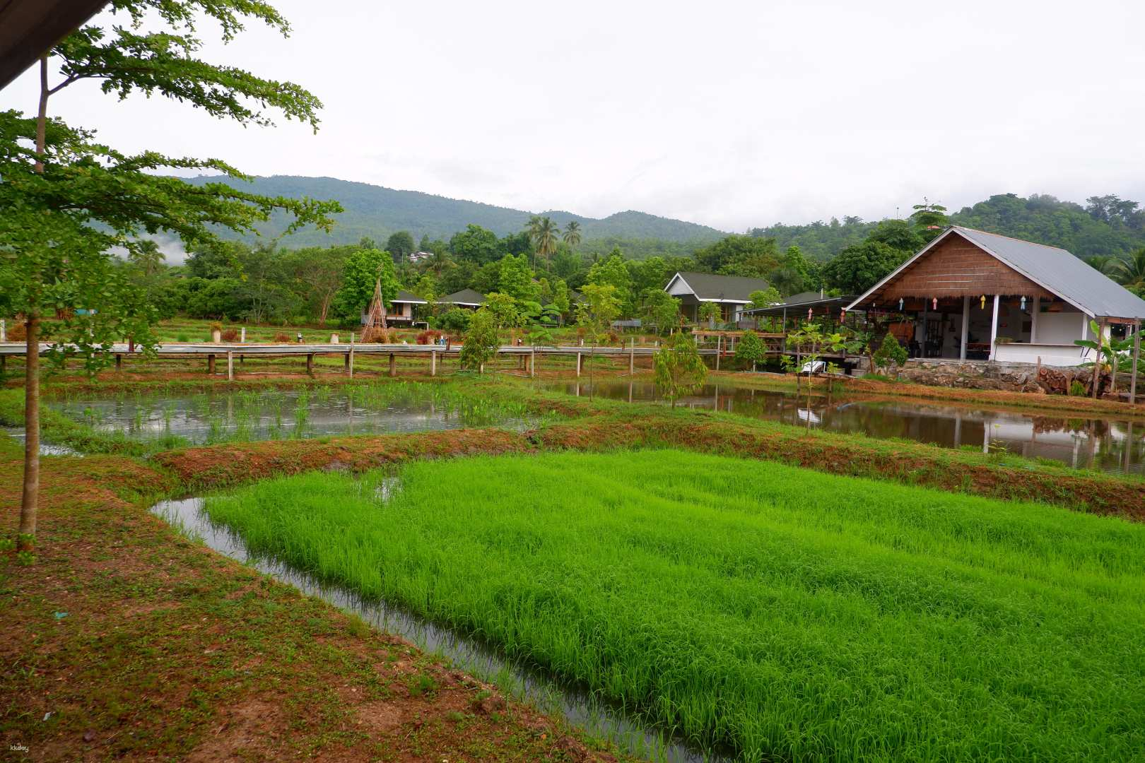 Chiang Mai Overnight with Doi Inthanon National Park tour | Thailand - Photo 1 of 9