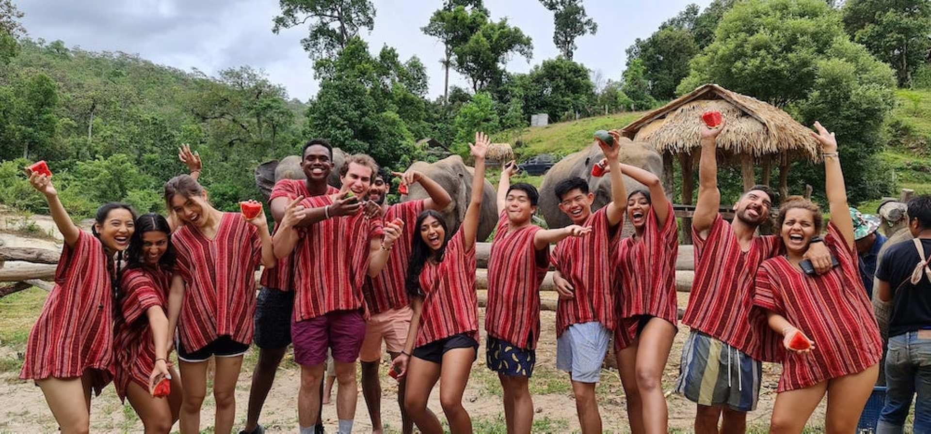 Chiang Mai Secret Elephant Sanctuary Tour | Thailand - Photo 1 of 10