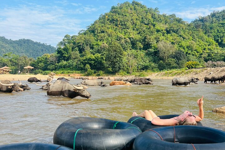 Chiang Mai: Full-Day Jungle Trek, Tubing & Waterfall Adventure - Photo 1 of 25