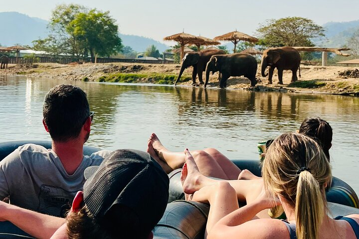 Chiang Mai Half-Day River Tubing & Elephant Observation - Photo 1 of 25