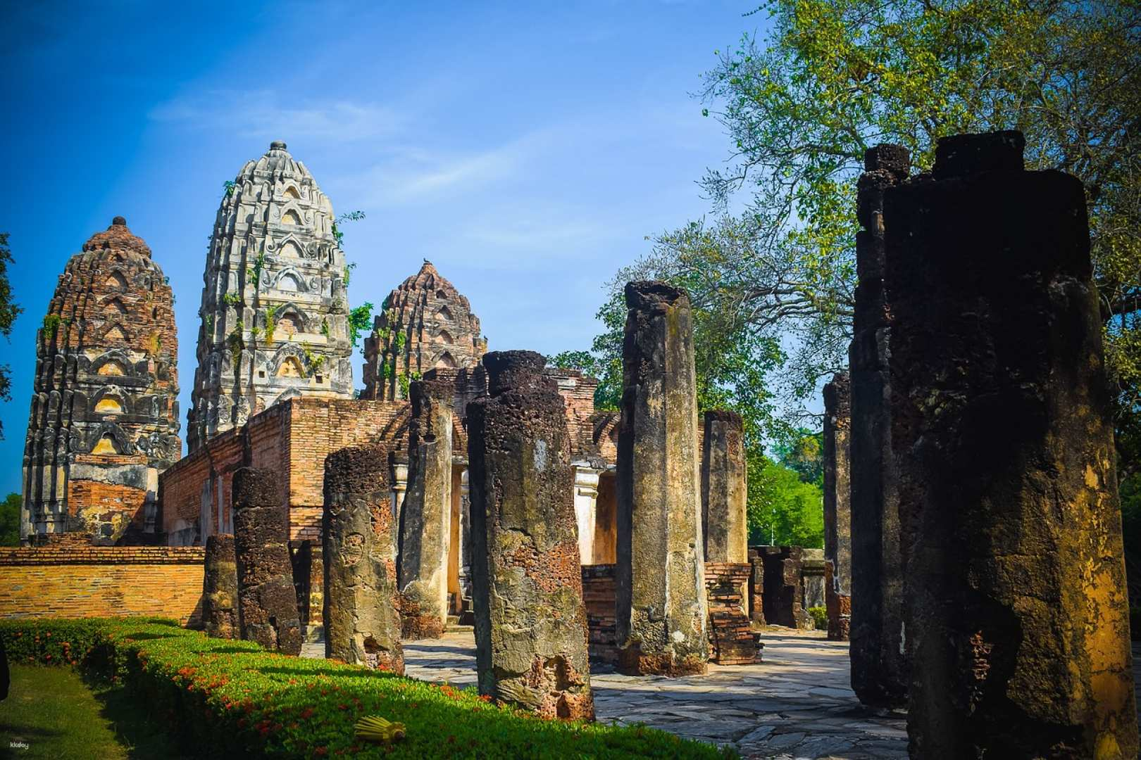 [Japanese-speaking guide] Chiang Mai Departure: One-Day Tour of the Sukhothai World Heritage Site (Hotel Transfer & Lunch Included) by Panda Bus - Photo 1 of 1