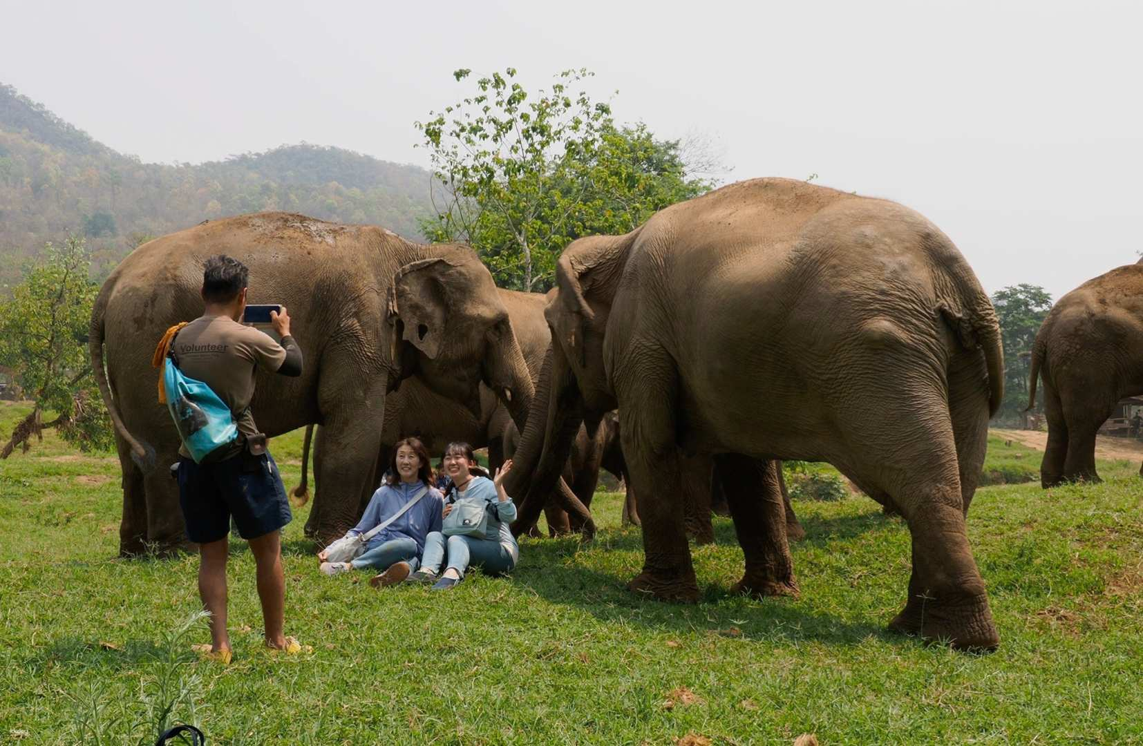 Chok Chai Elephant Camp Half Day Tour  | Thailand - Photo 1 of 9