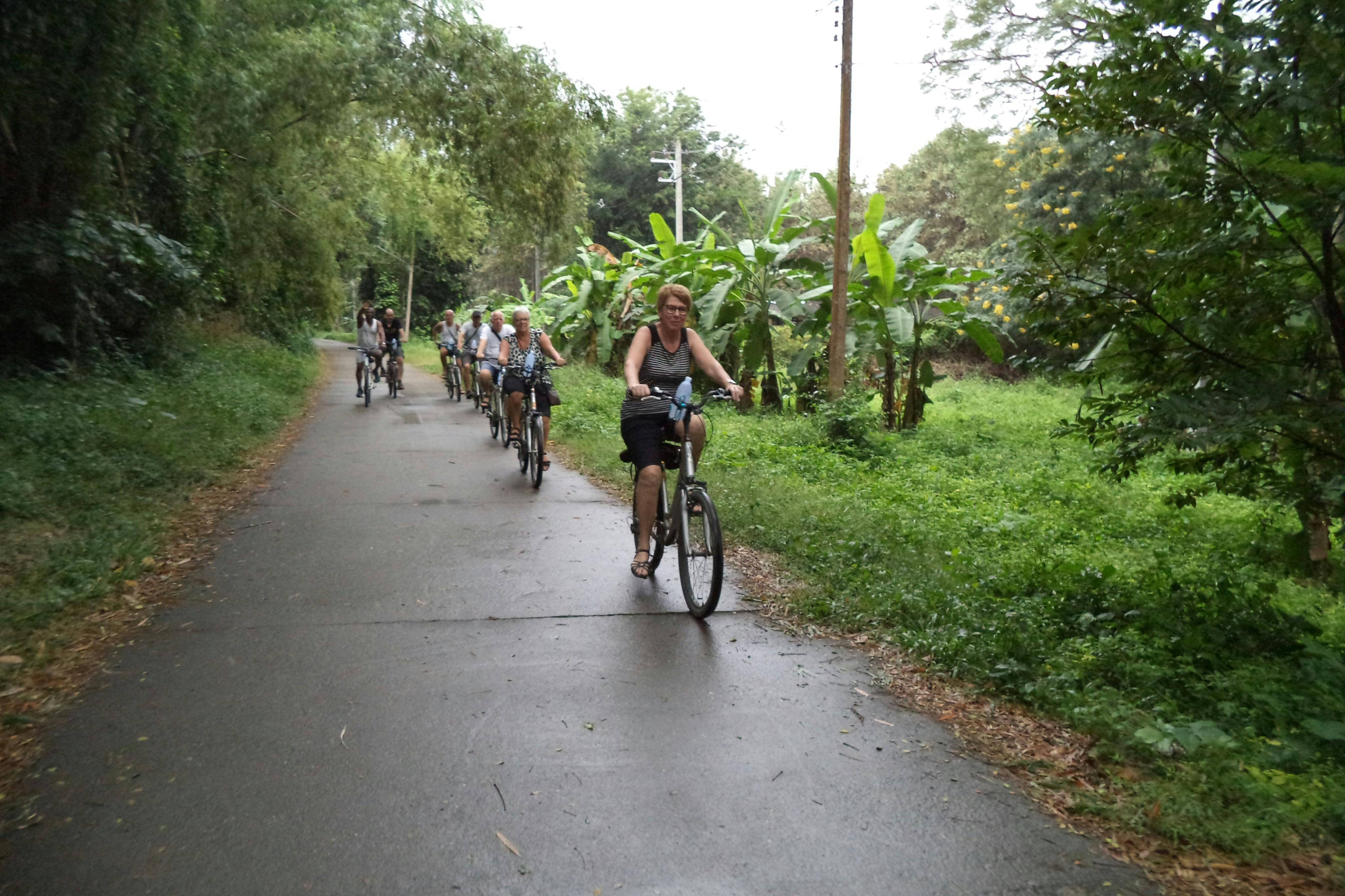 Colors of Chiang Mai: Bicycle Tour - Photo 1 of 8
