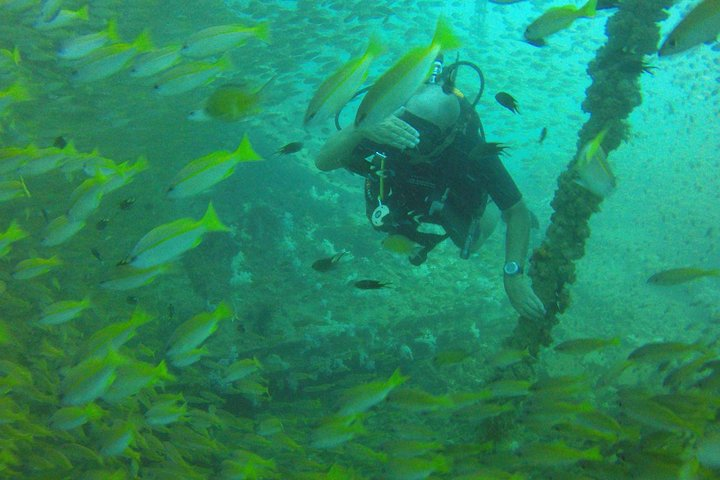 Steven at King Cruiser wreck between the snappers