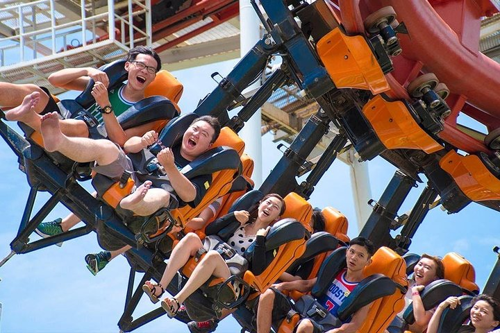 Scream with joy on the Sky Coaster at Dream World! Experience exhilarating rides meet beloved characters and enjoy unforgettable moments in Thailand’s magical amusement park. Adventure awaits!