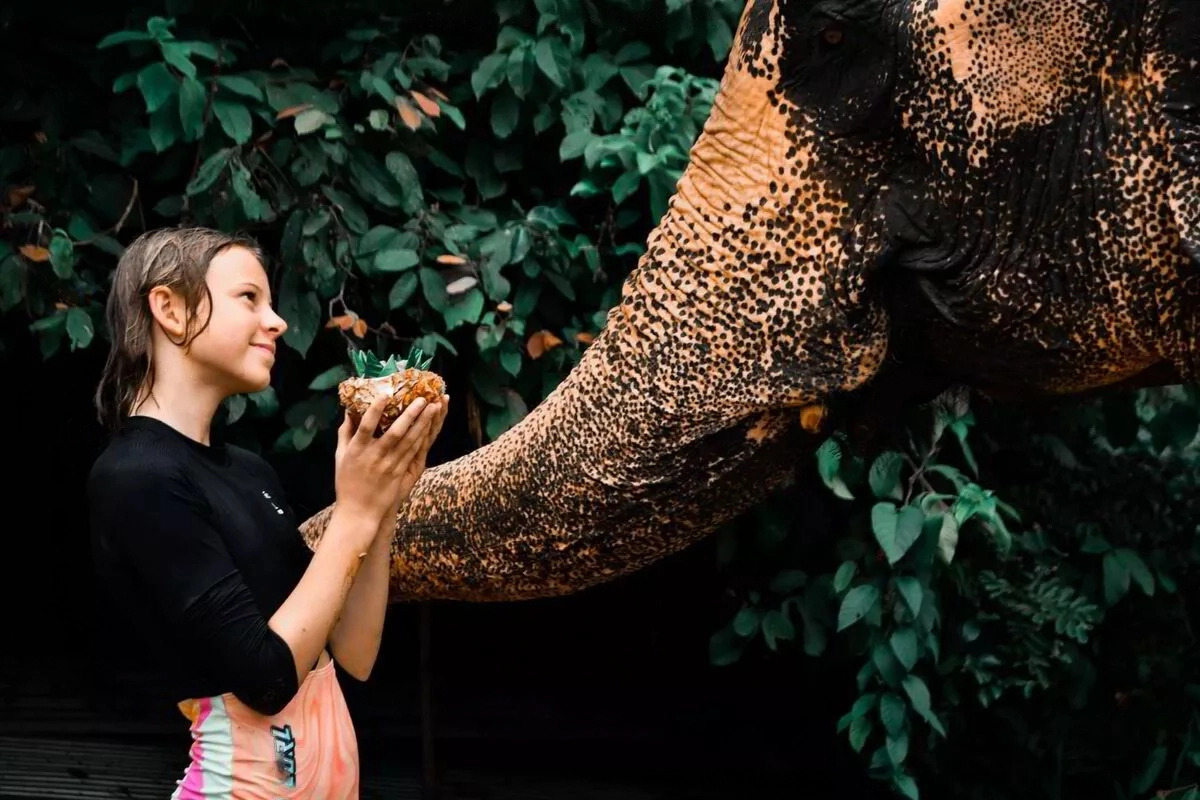 Experience the connection between humans and elephants in a lush setting as you learn to care for these gentle giants at the Elephant Jungle Sanctuary in Phuket.