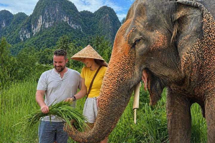 Koh Samui: Elephant Nature Care, the largest elephant sanctuary - Photo 1 of 25