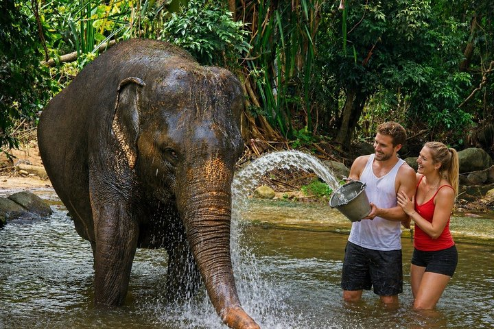 Elephant Care Experience In Koh Samui - Photo 1 of 23