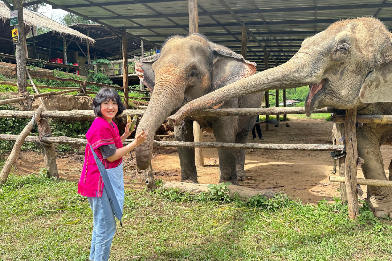 Elephant Sanctuary Observation & Cultural Activities | Chiang Mai - Photo 1 of 6