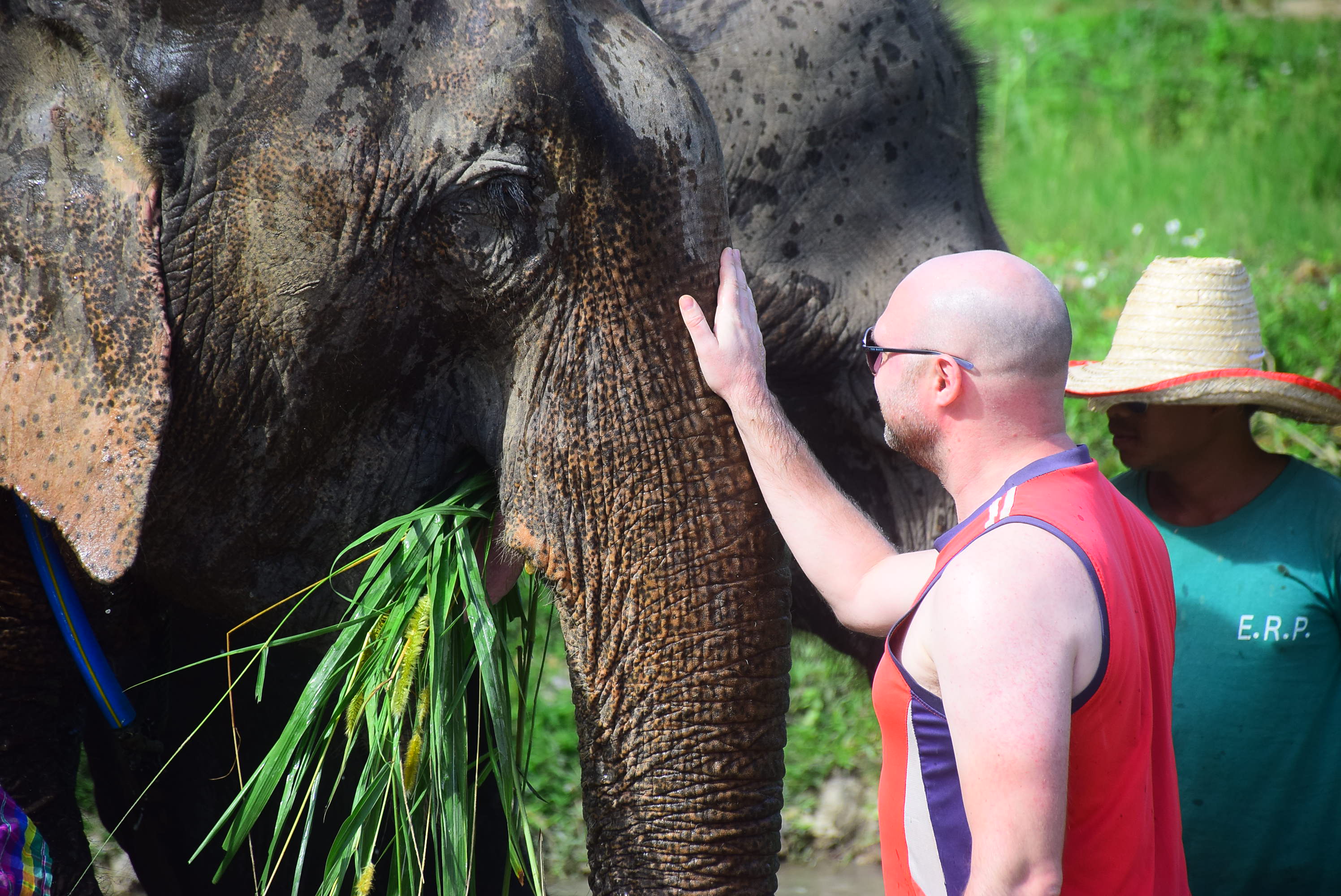 Connect with gentle giants while enjoying their natural surroundings. Experience hands-on care and learn about their behaviors in a serene setting creating unforgettable memories alongside these magnificent creatures.
