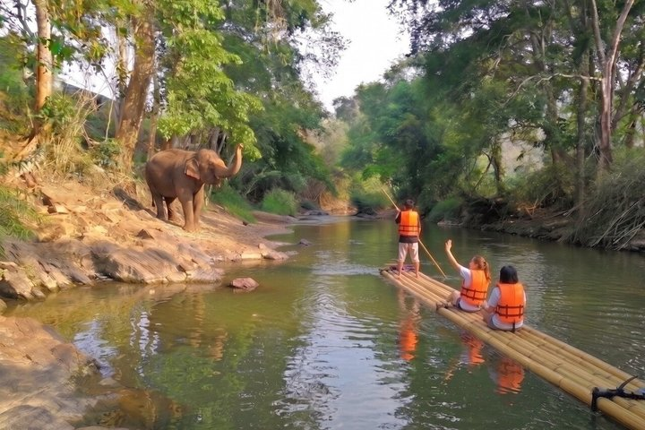 Elephant Sanctuary + Waterfall + Bamboo Rafting One Day Trip - Photo 1 of 16