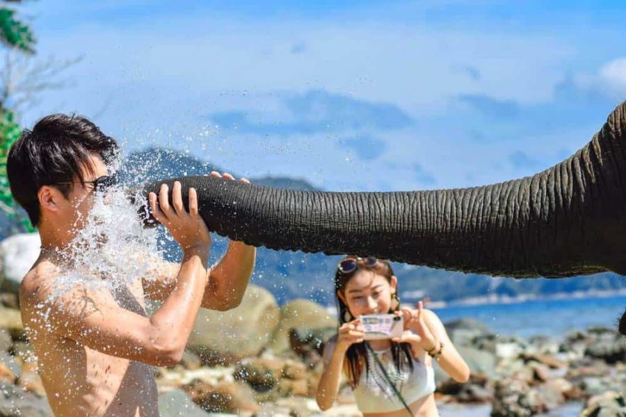 Experience playful moments with friendly elephants at Lucky Beach splashing in the sea and making unforgettable memories. Enjoy bareback rides along the stunning shoreline for a unique adventure.