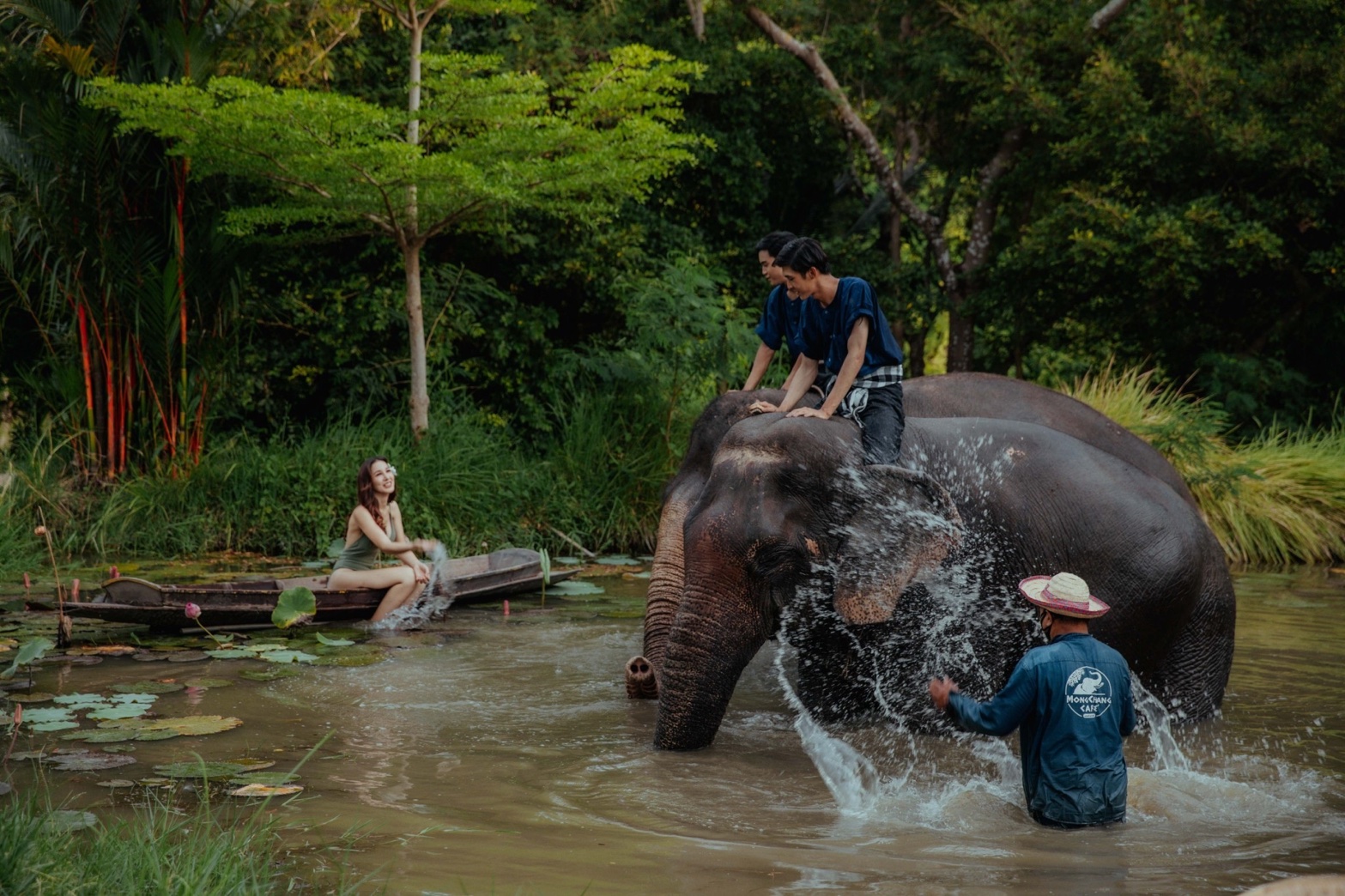 Immerse yourself in nature's embrace as you connect with majestic elephants during a refreshing bath creating unforgettable memories at the serene Mong Chang Cafe in Pattaya.