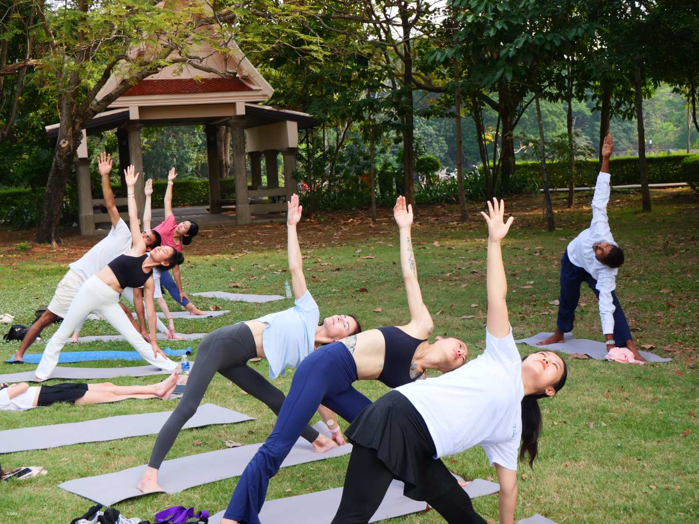Discover a serene yoga practice amidst lush greenery where expert guidance helps you unlock your potential and foster a deep connection to body and mind in Bangkok.