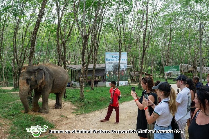 Evening Guide Tour to Khaolak Elephant Sanctuary Free 1 Cocktail