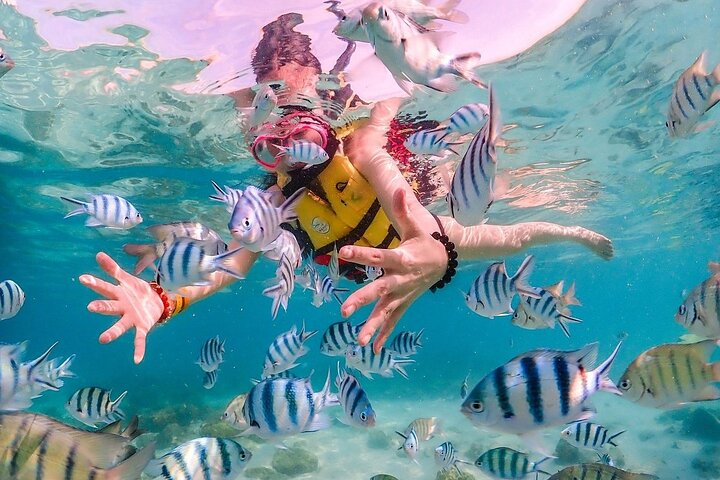 Experience Pattaya Tour with Water Activities  - Photo 1 of 5