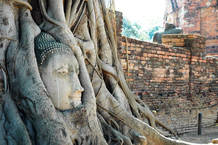Explore the historic ruins of Ayutthaya where ancient temples meet lush nature and a hidden Buddha statue emerges from the roots of time offering a unique glimpse into Thailand's rich heritage.