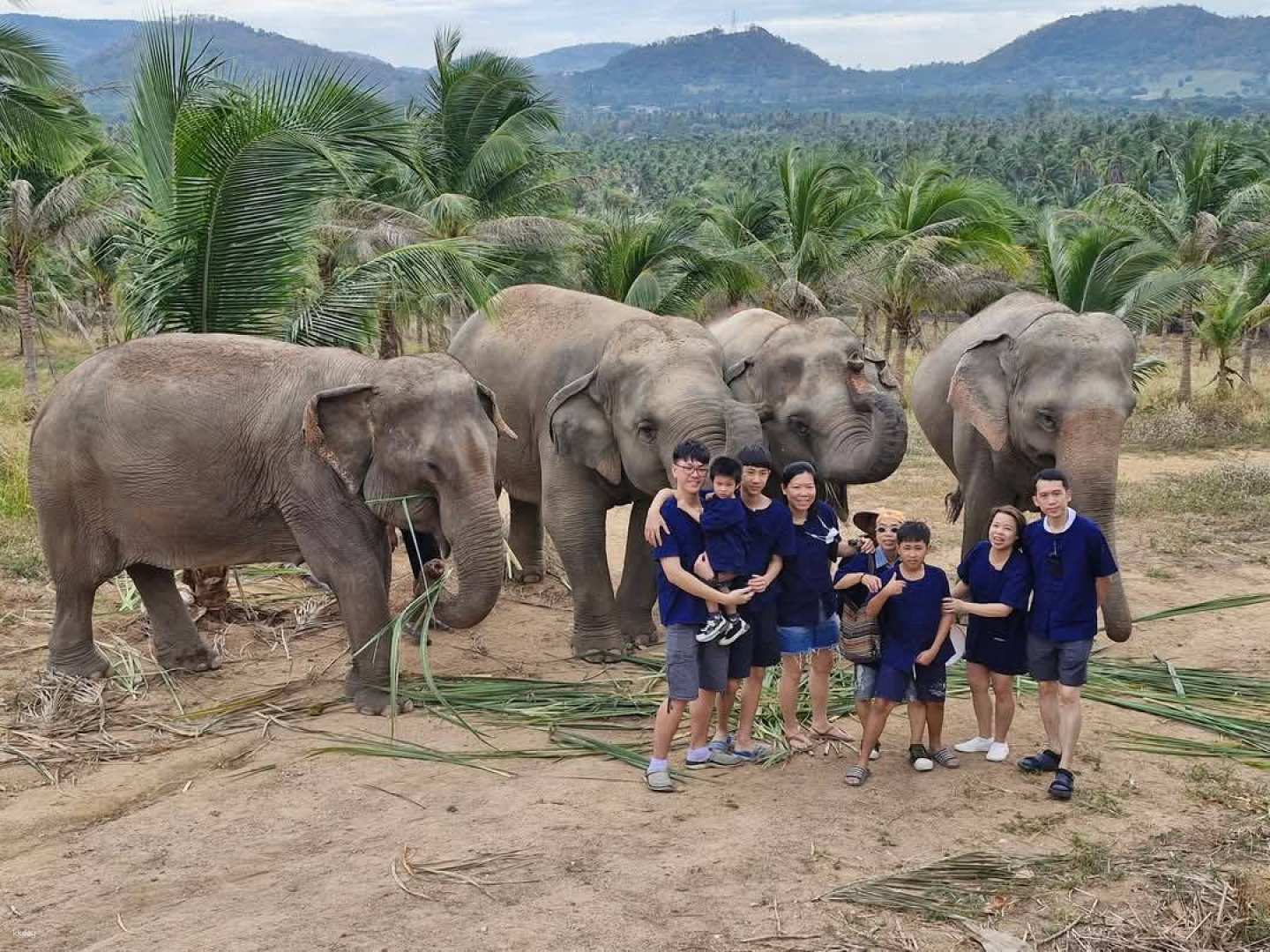 From Bangkok: Living Green Elephant Sanctuary Chonburi | Thailand - Photo 1 of 10