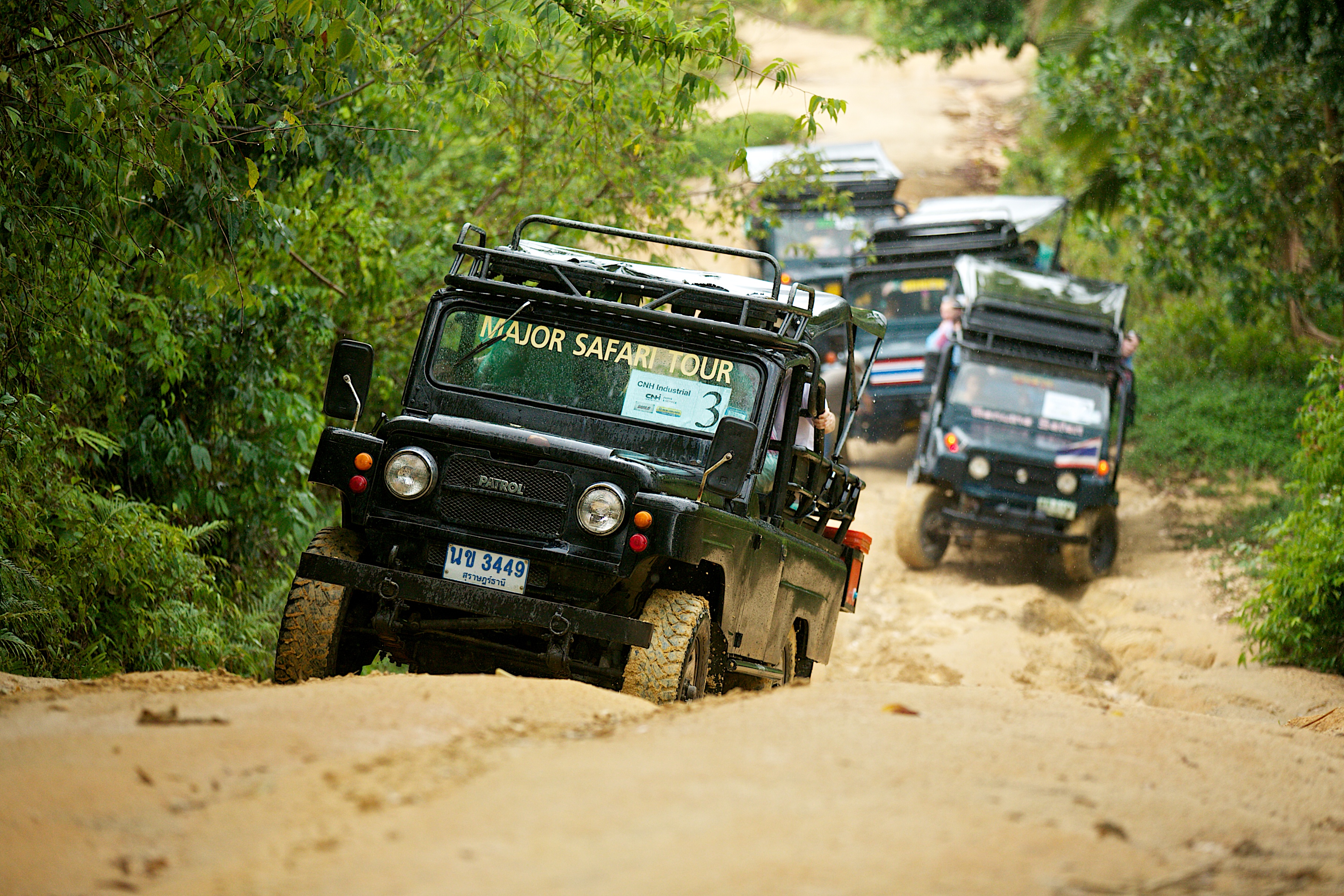 Adventure unfolds as 4WD vehicles navigate lush trails revealing the natural beauty of Koh Samui's jungle. Witness unique wildlife and stunning vistas while exploring this hidden gem.