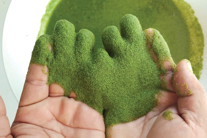 Experience the natural healing power of organic ingredients at the Wellness Farm where vibrant greens transform into wellness remedies enhancing your journey towards health and rejuvenation.