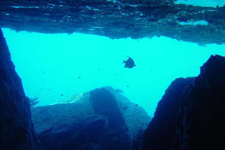Overhang at divesite Deep Six