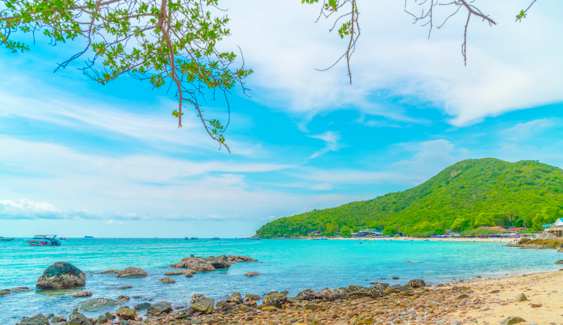 Half-Day Tour: Pattaya to Coral Island (Koh Larn) | Thailand - Photo 1 of 7