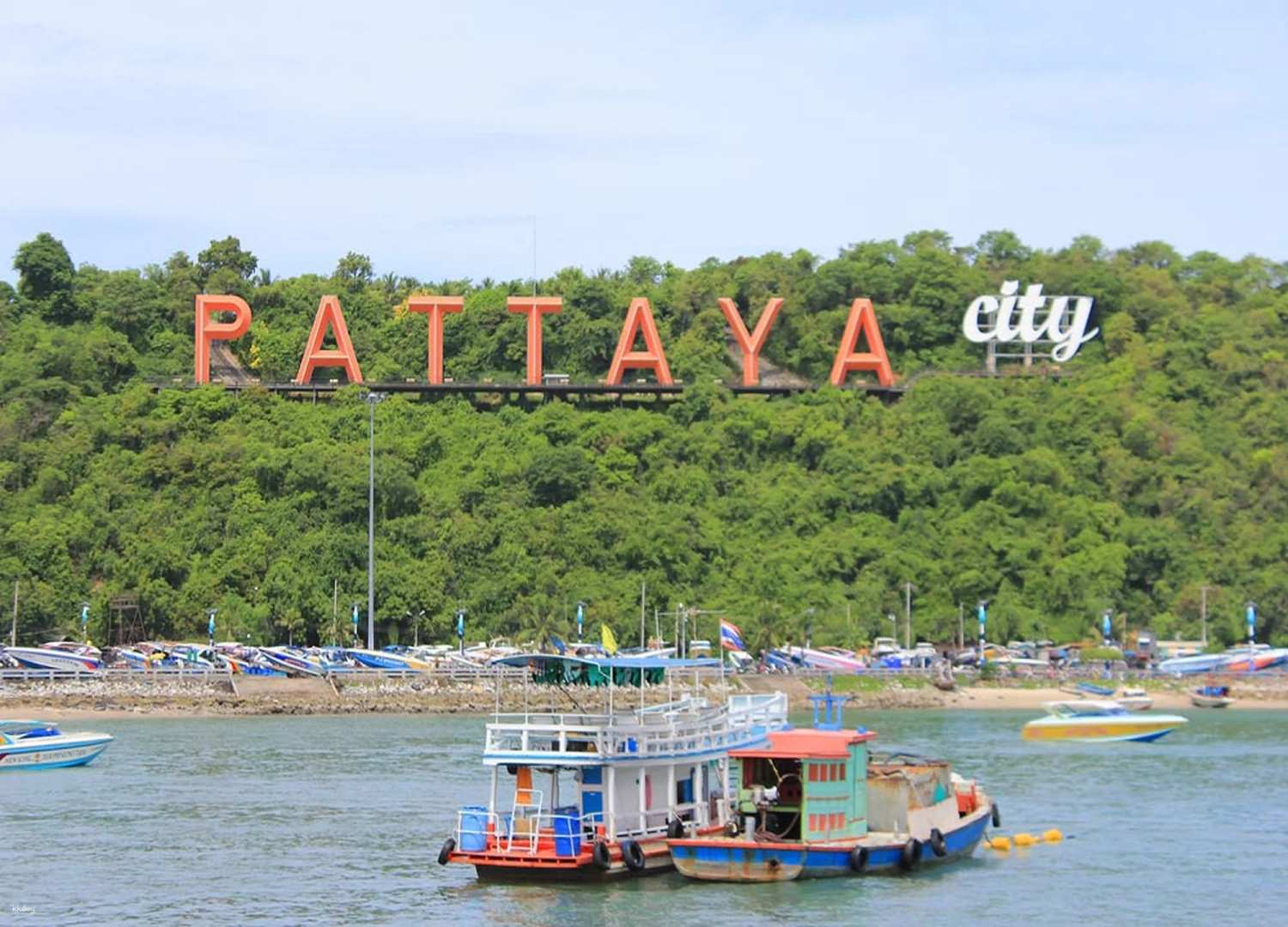 [Korean Guide] Pattaya One-Day Tour | Nong Nooch Village + Golden Cliff Temple + Floating Market (Entrance Fee Included) - Photo 1 of 6