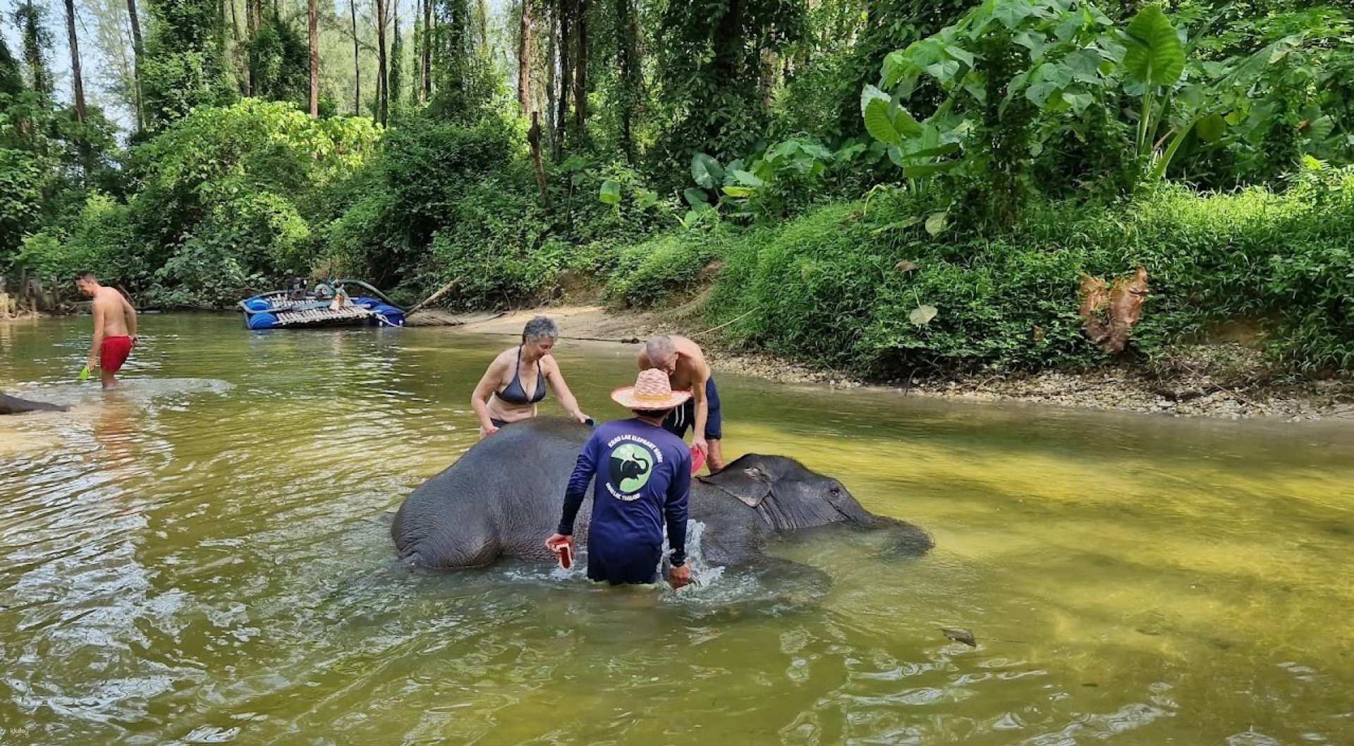 [Korean Guide] Thailand Khao Lak Ecological Join Tour (Departing from Khao Lak, Elephant Conservation Center/Bamboo Rafting/Turtle Experience Center) - Photo 1 of 6