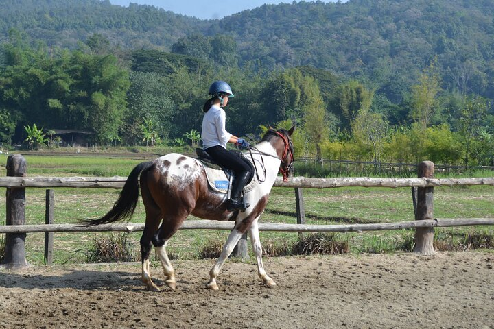 Horse Lesson+Riding+Wat Tonkwen wooden temple.Chiangmai - Photo 1 of 12