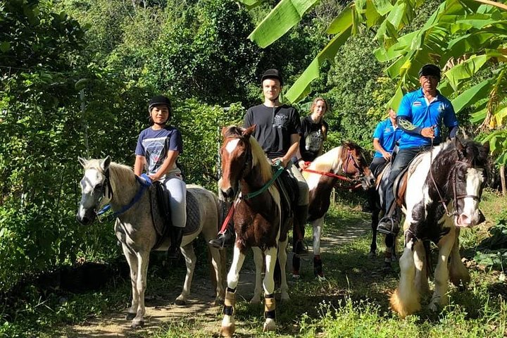 Horseback Riding 1 hour trail - Photo 1 of 6