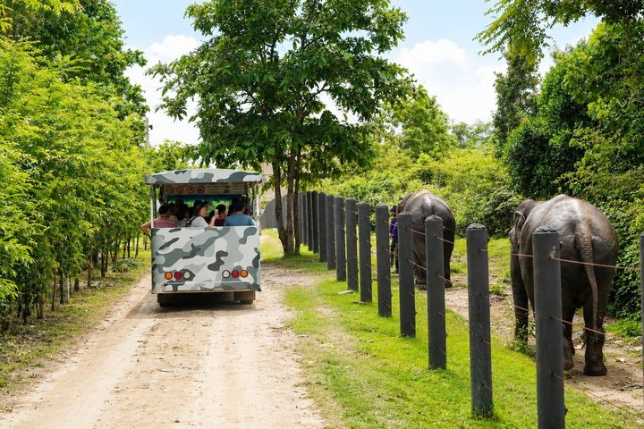 Hua Hin Wildlife Rescue Centre & Elephant Refuge Day Trip - Photo 1 of 11