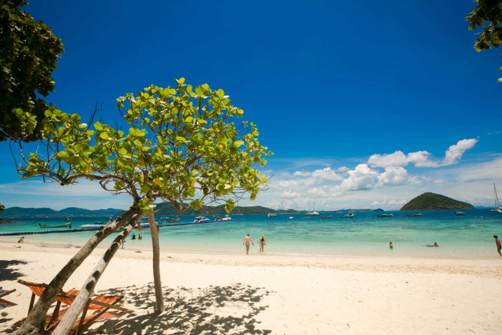 [Japanese guide] Coral Island day tour, marine sports available on site, elephant riding experience plan available | Departing from Phuket | Pick-up and drop-off, lunch included - Photo 1 of 10