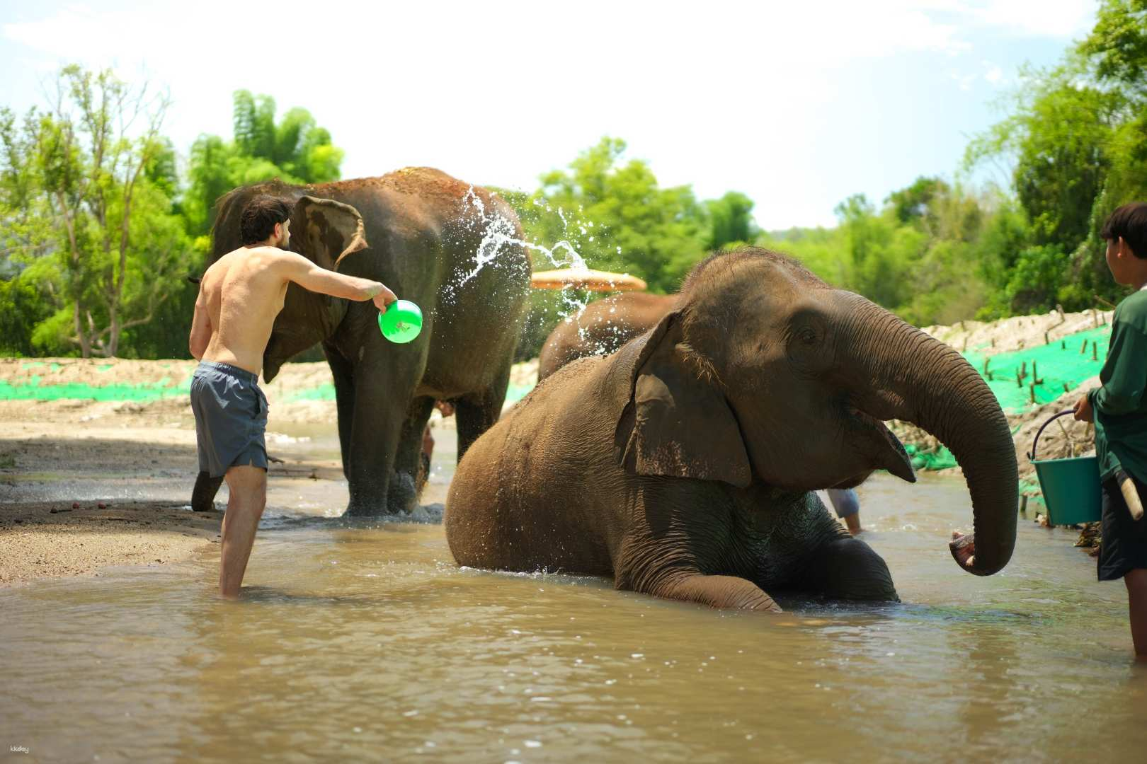 Jungle Jumbo Camp from Chiang Mai | Thailand - Photo 1 of 9