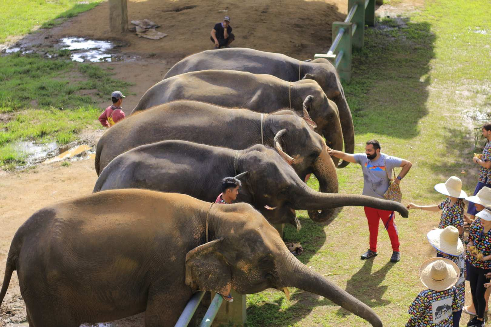 Kanta Elephant Sanctuary Experience Half Day Tour - Photo 1 of 10