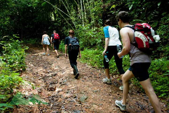 Khao Sok National Park Hiking and Bamboo Raft Tour From Khao Lak - Photo 1 of 25