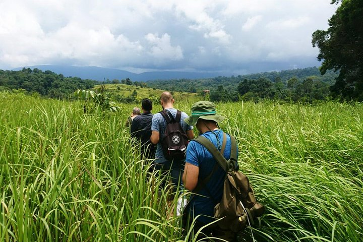 Explore the lush trails of Khao Yai National Park surrounded by towering green grass and rich wildlife as you trek towards unforgettable vistas and a refreshing waterfall.
