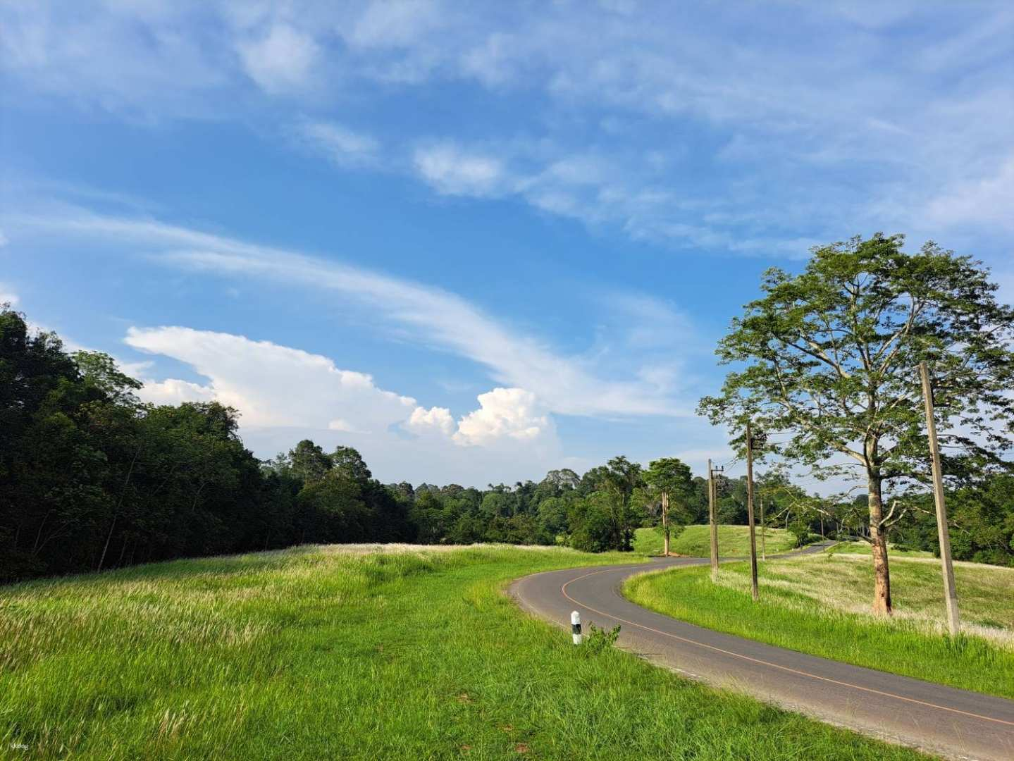 Khao Yai National Park Tour from Bangkok with Kayaking or Elephant Riding | Thailand - Photo 1 of 9