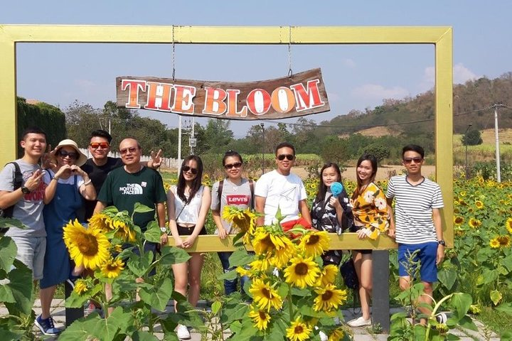 Experience the joy of togetherness surrounded by sunflowers capturing unforgettable moments with friends in Khao Yai's stunning landscapes all while enjoying a personalized adventure.