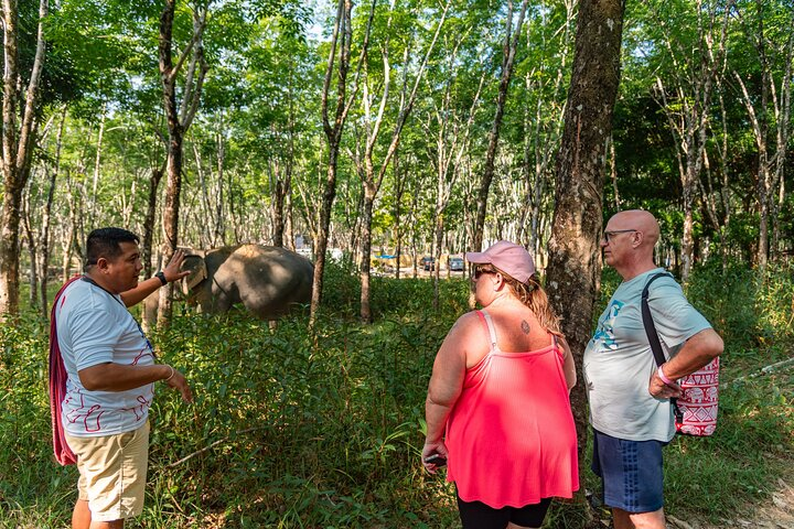 Khao Lak Elephant Sanctuary, Waterfall & Turtle Conservation - Photo 1 of 12