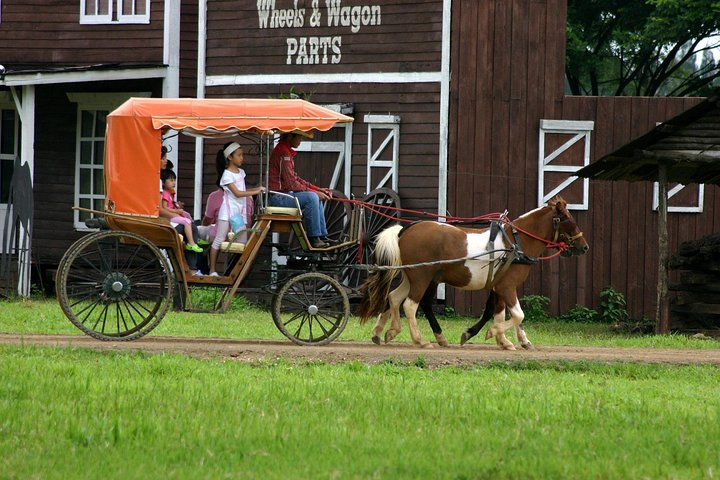 Experience a delightful ride through scenic landscapes as charming horse-drawn carriages transport you into the heart of local traditions and farm life creating unforgettable memories.