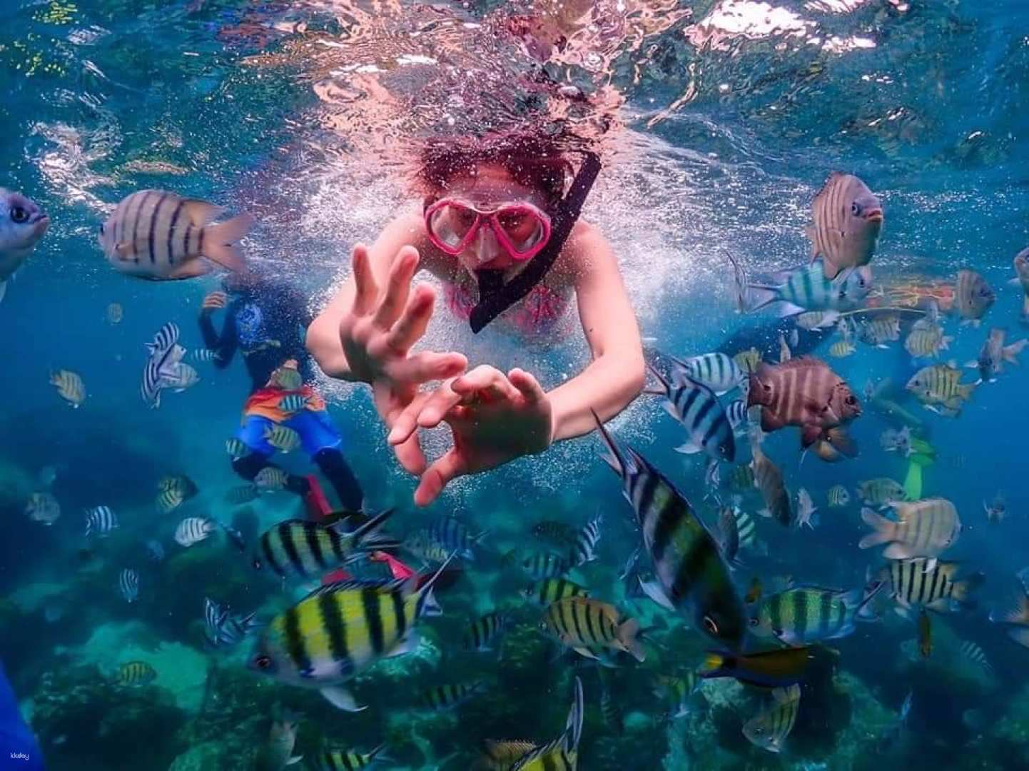 Koh Larn 1 Day Trip | Thailand - Photo 1 of 7