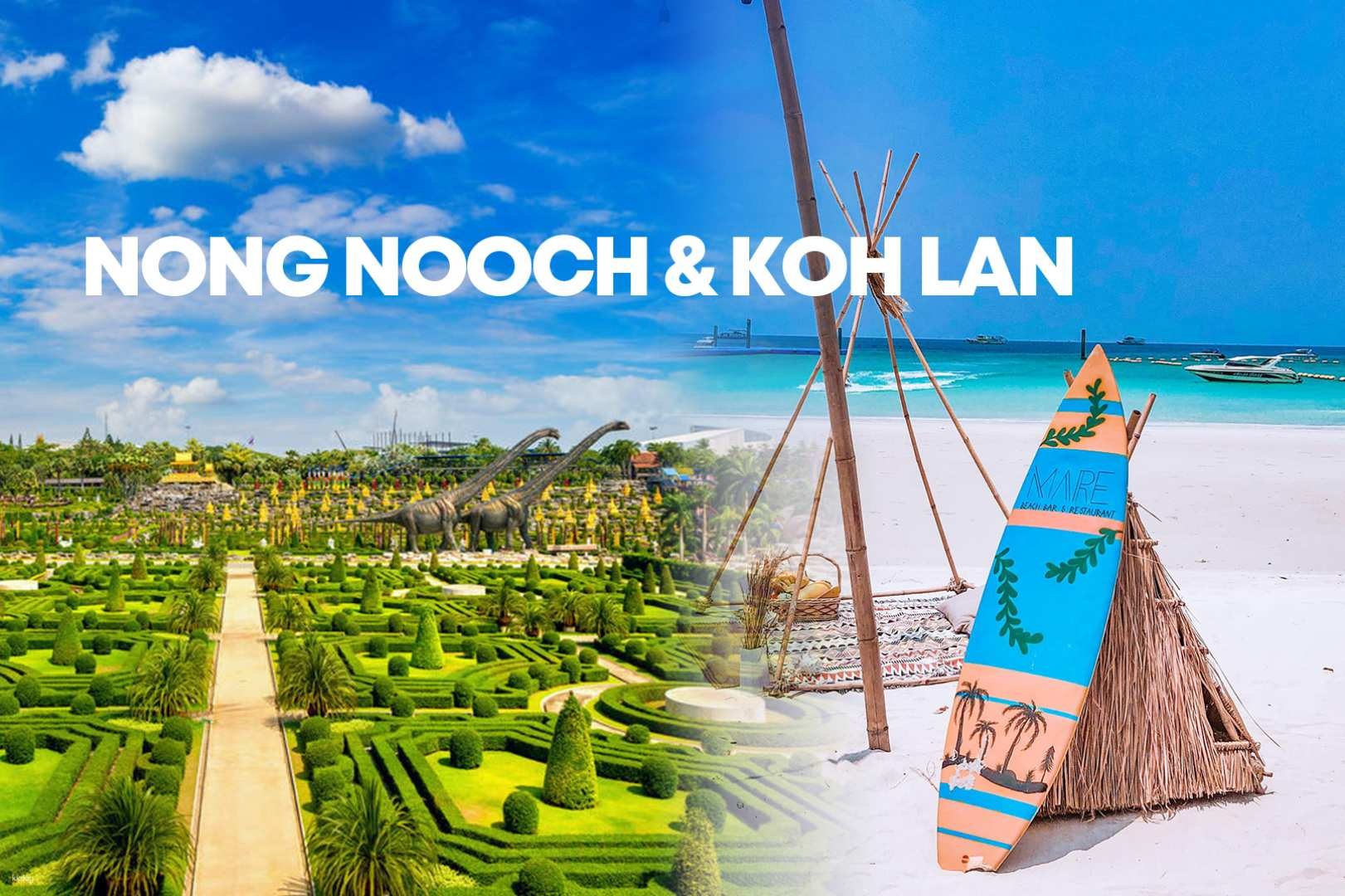 Discover stunning landscapes at Nong Nooch Botanical Garden then unwind on the pristine beaches of Coral Island where adventure and relaxation await in perfect harmony.