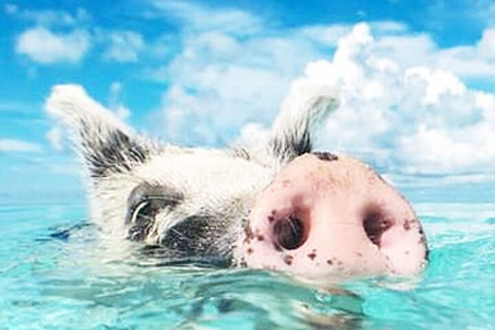 kohsamui.tours - Secret Islands Longtail Boat trip - Photo 1 of 25