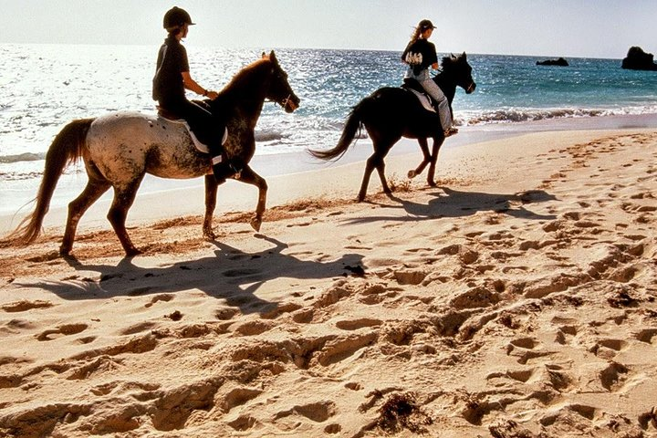 Ride along the serene shores of Ao Nam Mao Beach where gentle waves meet soft sand creating an idyllic backdrop for unforgettable moments on horseback. Experience the beauty of Krabi from a unique perspective.