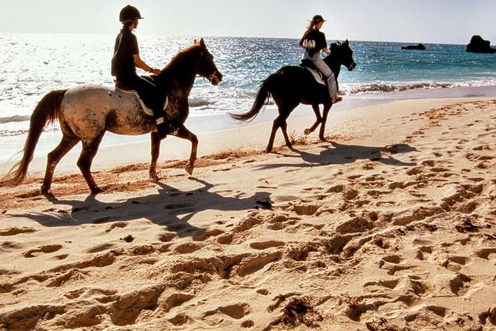 Krabi Beach Horse Riding Experience with Hotel Transfers - Photo 1 of 5