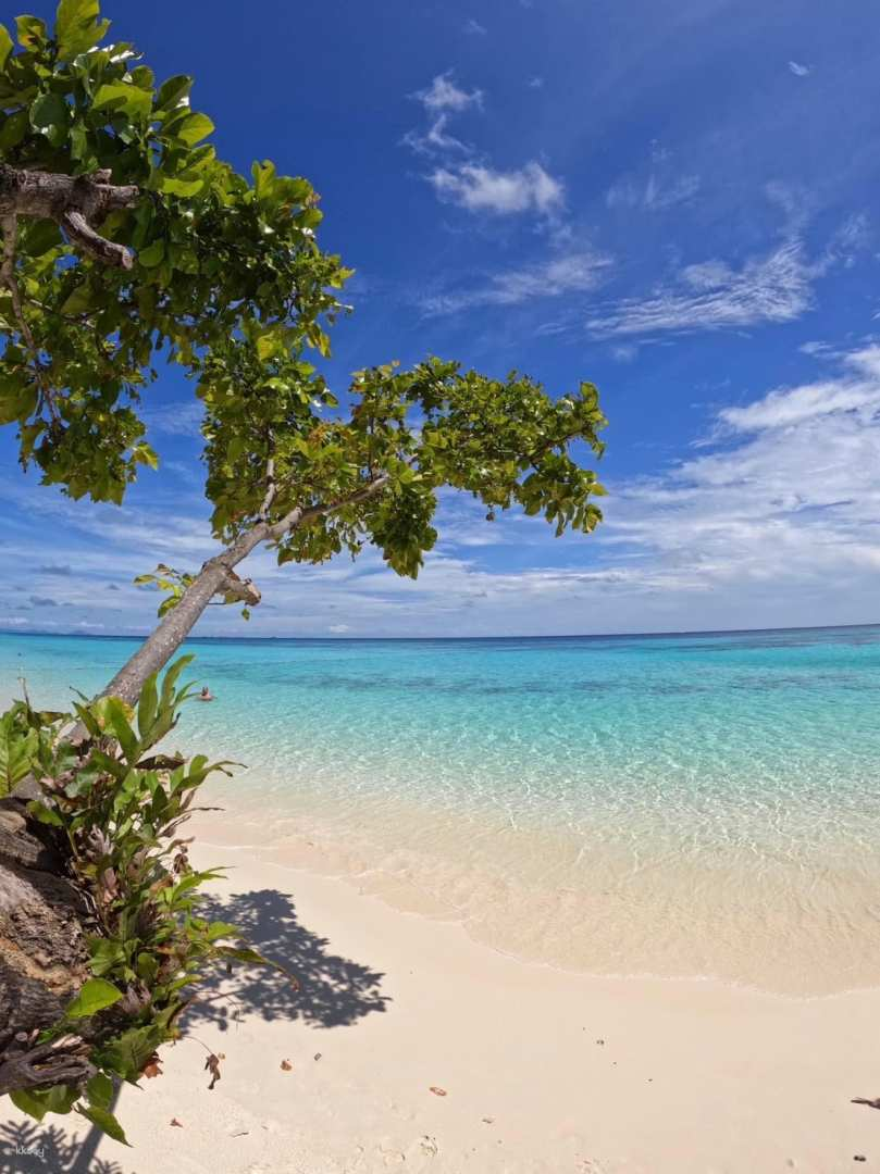 Krabi One Day Trip to Rok and Ha island by Speed boat | Thailand - Photo 1 of 7