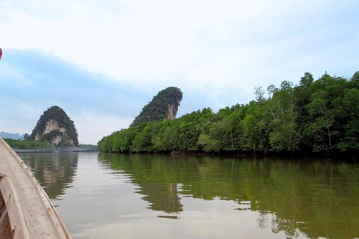 The Mangrove Boat Tour in Krabi