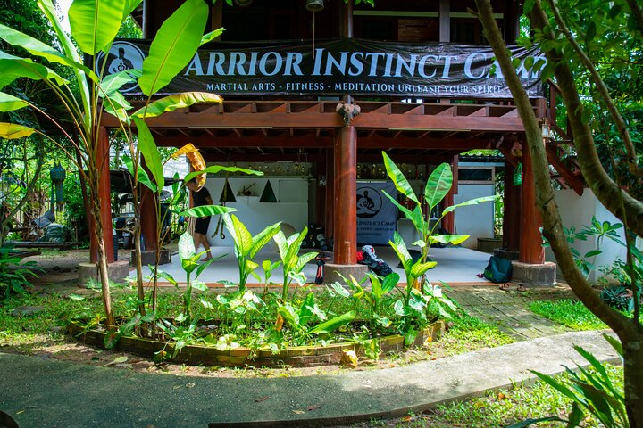 Martial Arts Jungle Experience - Unlock Your Spirit  - Photo 1 of 11