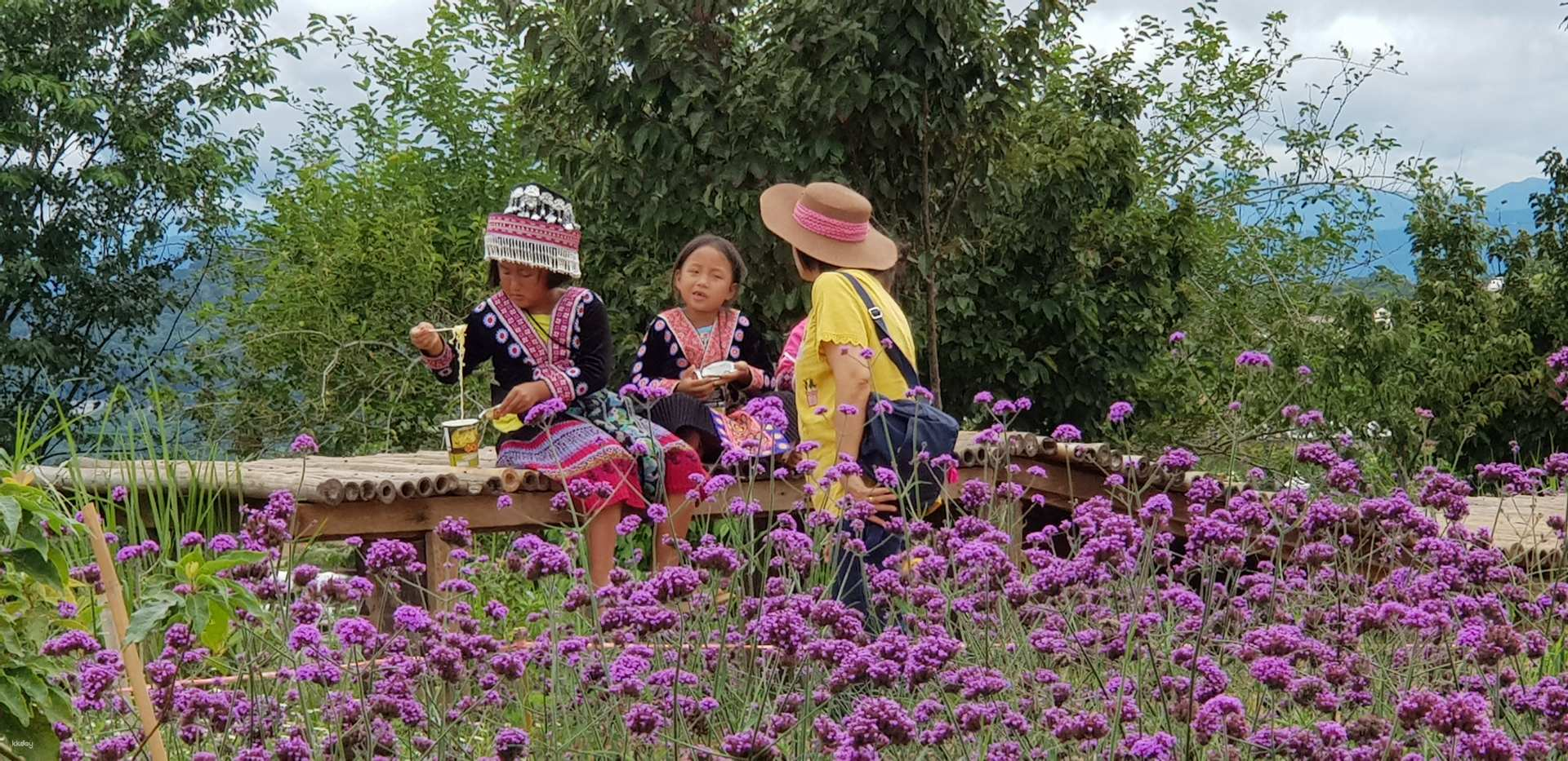 Explore the charm of local culture while surrounded by blooming gardens as you meet friendly faces and immerse yourself in the serene beauty of Chiang Mai’s enchanting landscapes.